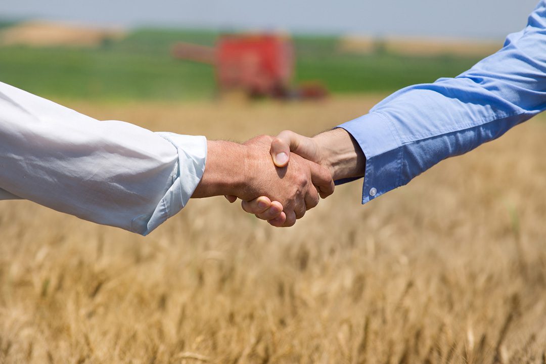 Shaking Hands - Affordable Websites for Small Bussinesses
